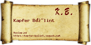 Kapfer Bálint névjegykártya